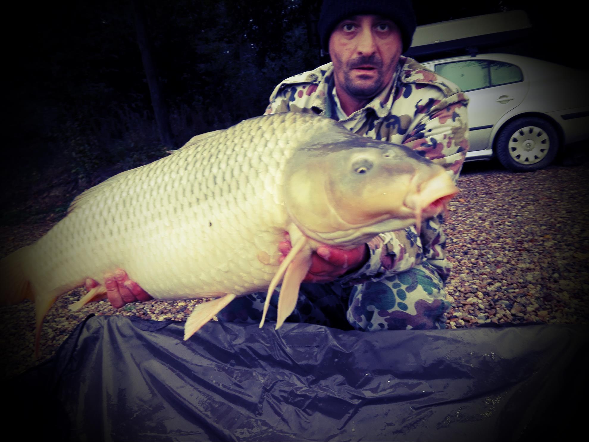 1-5 Octombrie Cetariu - img20161004180904.jpg